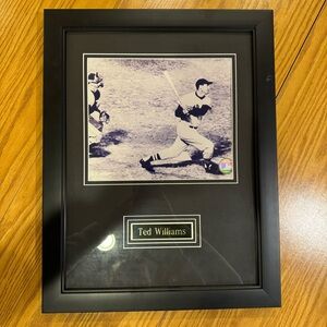 Ted Williams Limited Edition Classic Moments Framed Collectible Baseball picture
